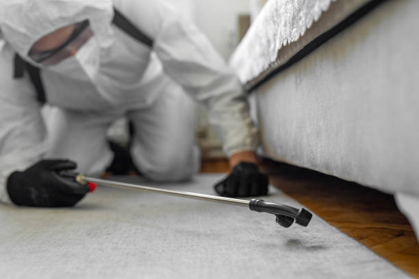 Professional Bed Bug Control technician working in Otterbein, IN